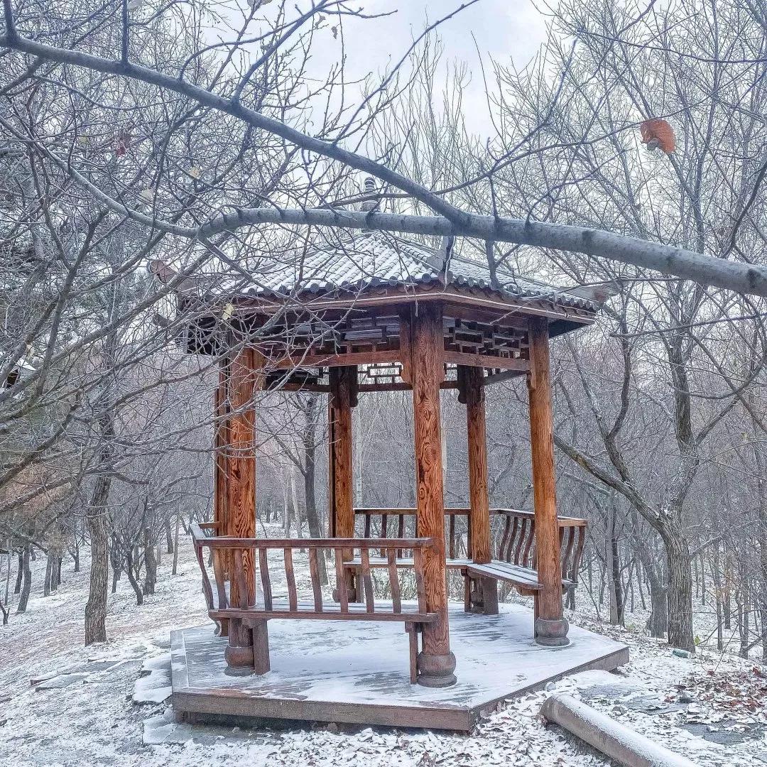 沈阳航空航天大学在辽宁省的地位,辽宁省沈阳航空航天大学在哪个区