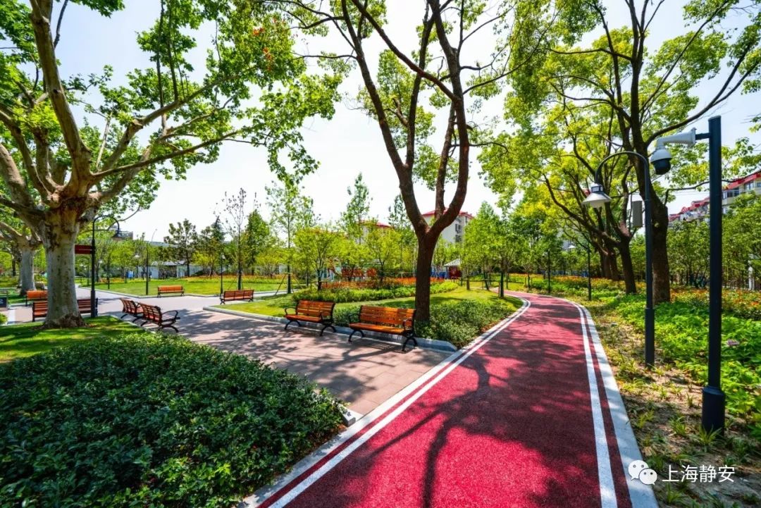 大声告诉你沙哑版,大声告诉你片段