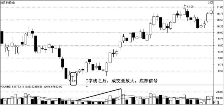 科学家的故事邓稼先,科新机电股票股吧