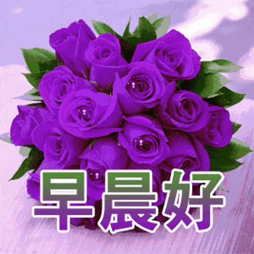 超暖心早上好问候祝福语唯美图片,温馨的祝福暖心的问候早上好图