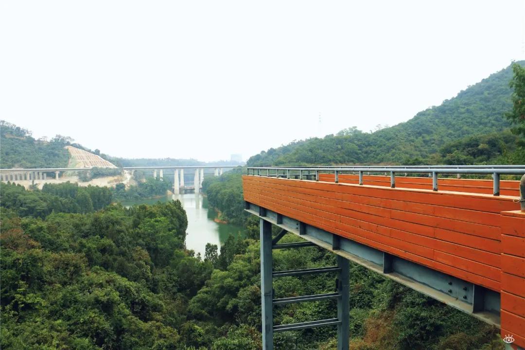 深圳西丽玻璃栈道,深圳海滨栈道重新开放