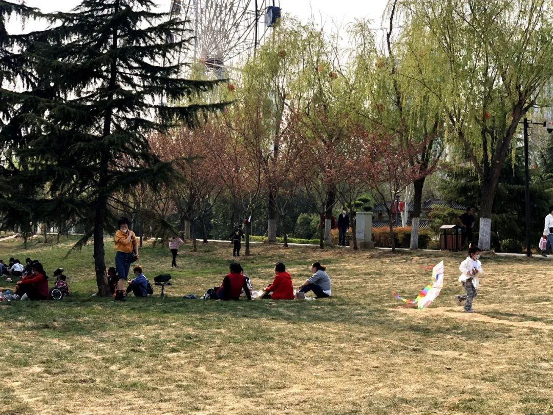 太美了花海随拍,咸阳郁金香在哪