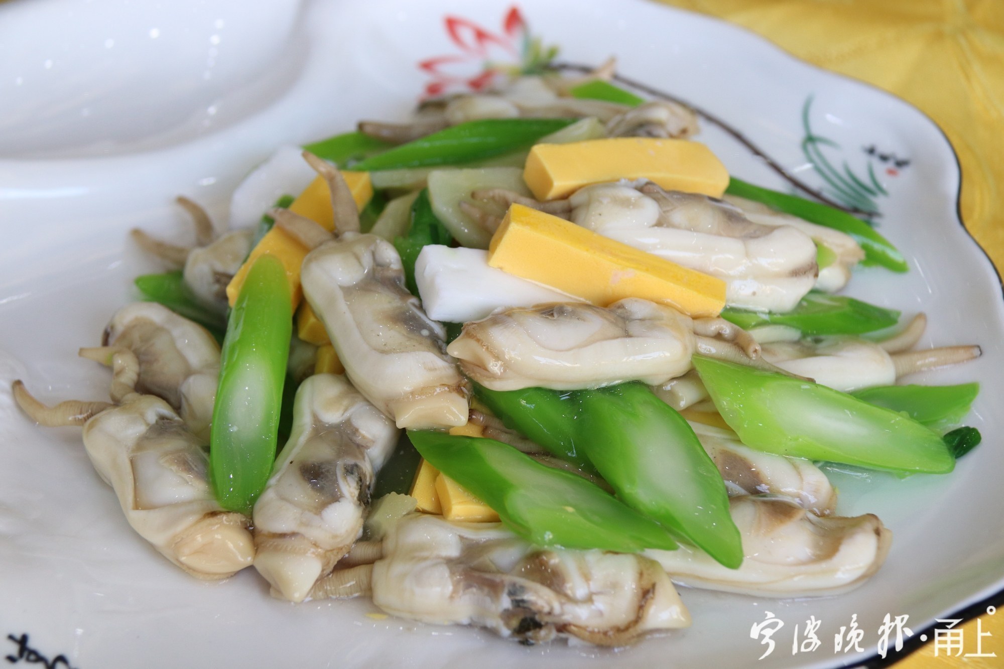 陈晓卿深夜造访宁波，来跟这种小海鲜说再见！传说它是龟兔赛跑后的爱情结晶……