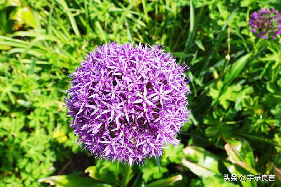 收到转账后霸气的朋友圈说说,女人靠自己的霸气说说朋友圈