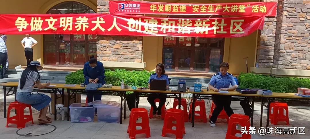 铲屎官请注意文明养犬妙招看这里,铲屎官养狗必看知识