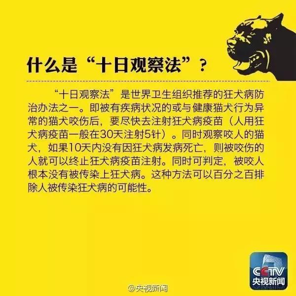 被狗舔东西得狂犬病的几率有多大,被狗舔后十天没死能判断狂犬病吗