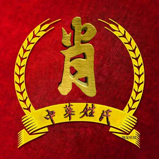 百家姓氏头像19期立体字体,2023张字姓氏专属头像制作