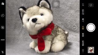 手机摄影拍照效果,手机拍照技巧和手机摄影分享