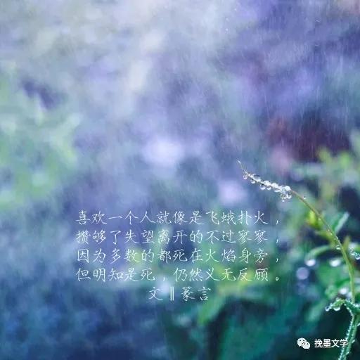 满目山河为故人,满目山河皆故人