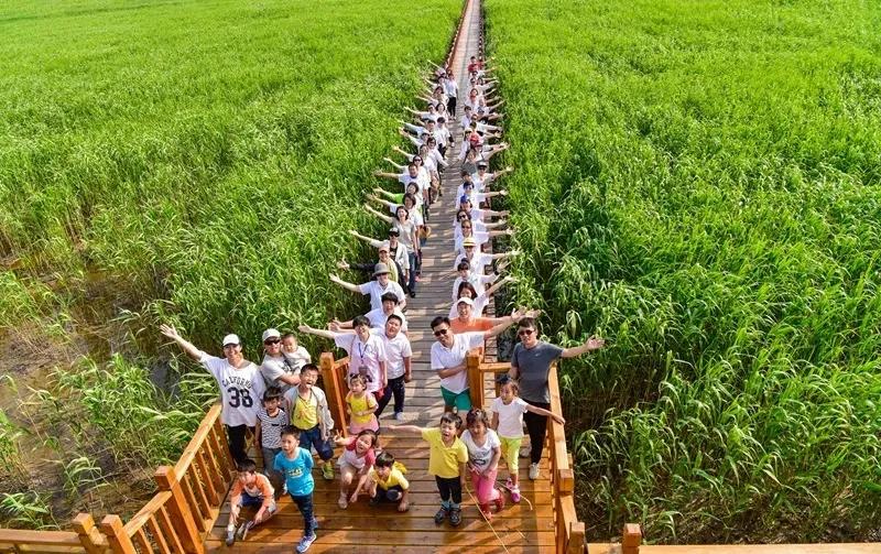 盘锦情书完整版,盘锦情书最新版