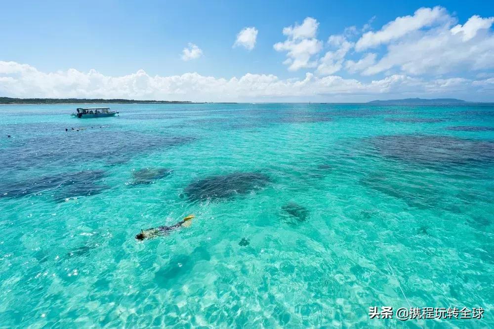 冲绳2月看樱花,冲绳哪里看樱花