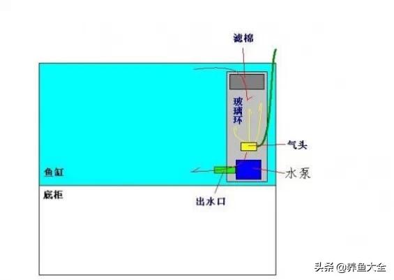 鱼缸各种过滤方式效果排名,细谈各种鱼缸过滤方法