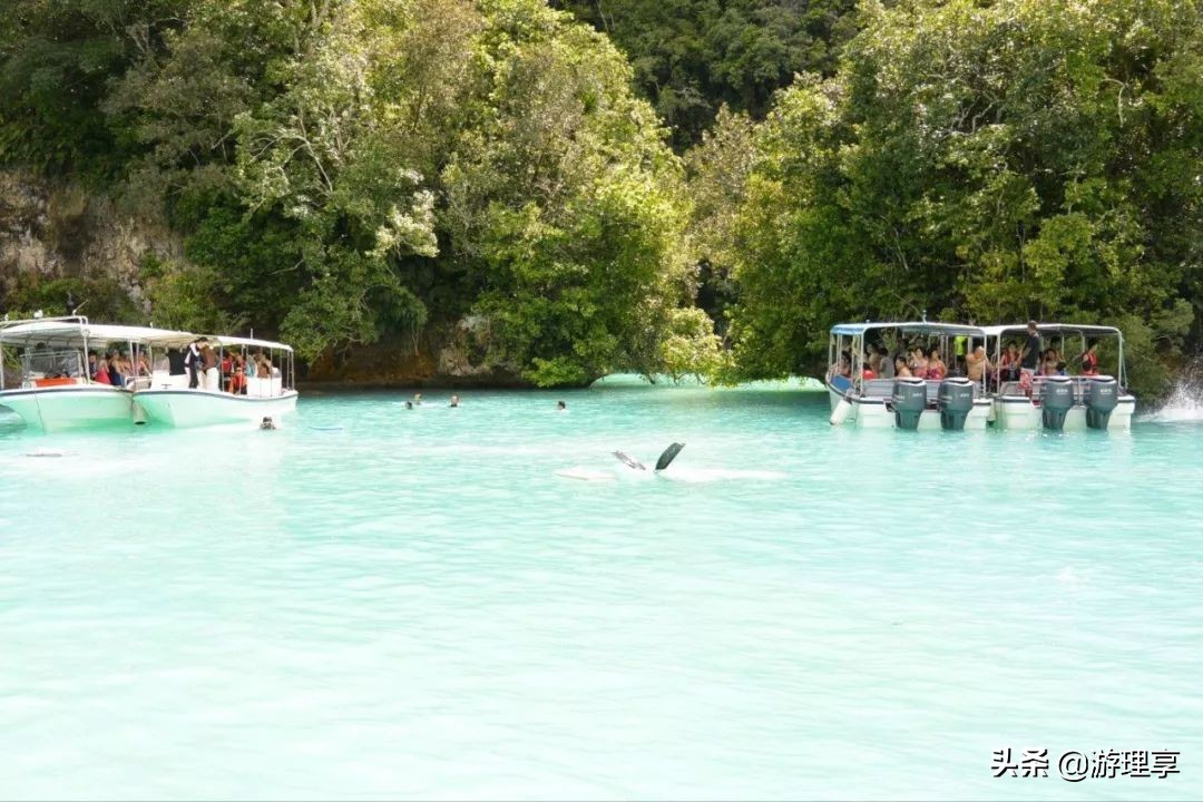国外哪个海岛旅游可以海钓,度假海岛海钓刺激