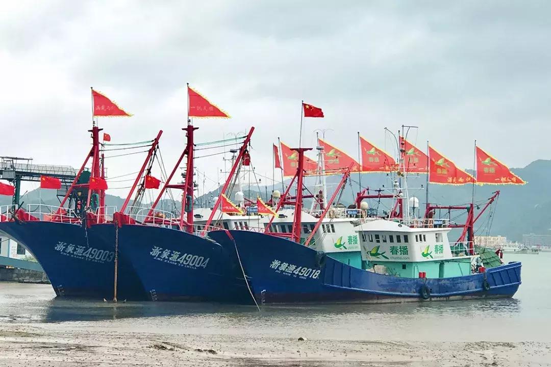 石浦渔港海鲜,石浦渔港码头海鲜