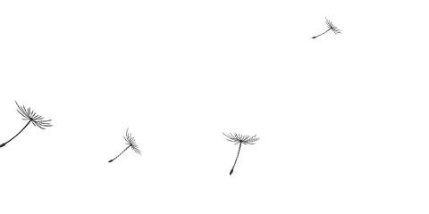 顶级酒店客房设计细节,高端酒店运营方案及技巧