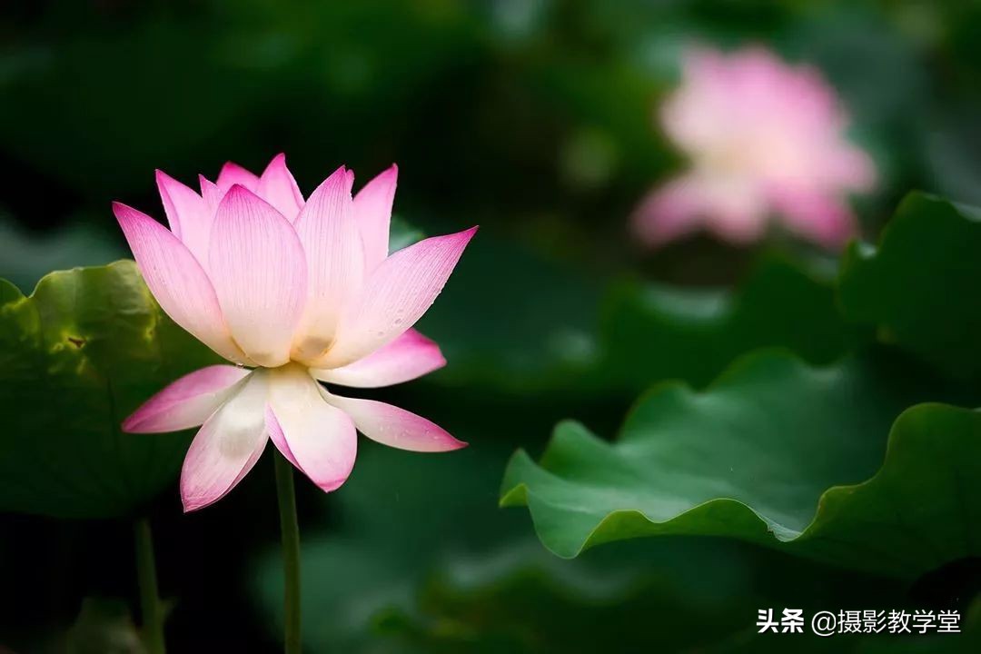 华为手机摄影快门速度怎么调,摄影教程中如何设置快门速度