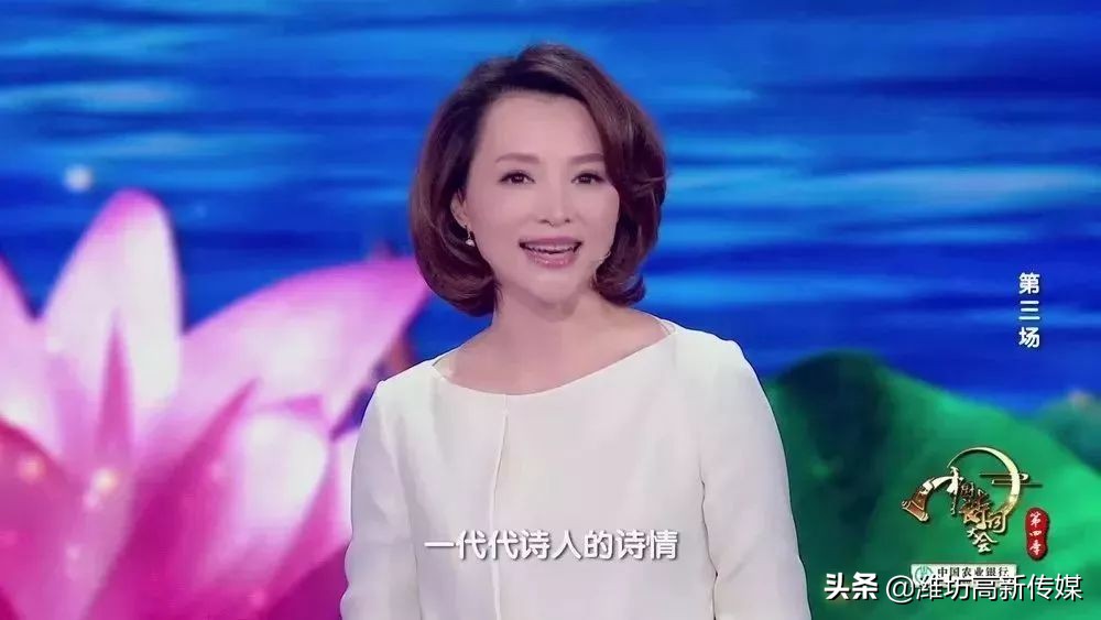 董卿诗词大会经典语录合集,诗词大会董卿经典语录