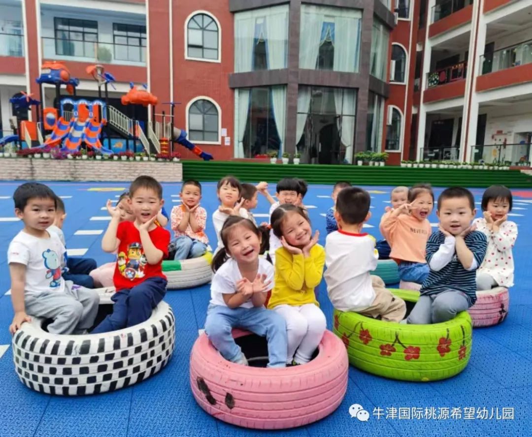 常德桃源红岩小学一年级招生条件,常德桃源文星小学招生条件