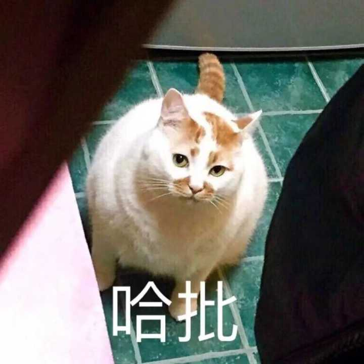 心之所向死于向往,心之所向爱的取向