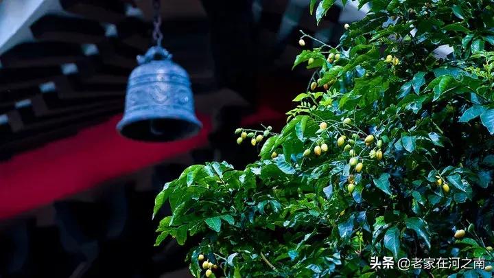 人死后去阴间的全过程，看醒了很多人！