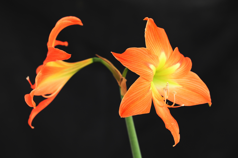 拥有这“二多二少”，你就是个幸福的人