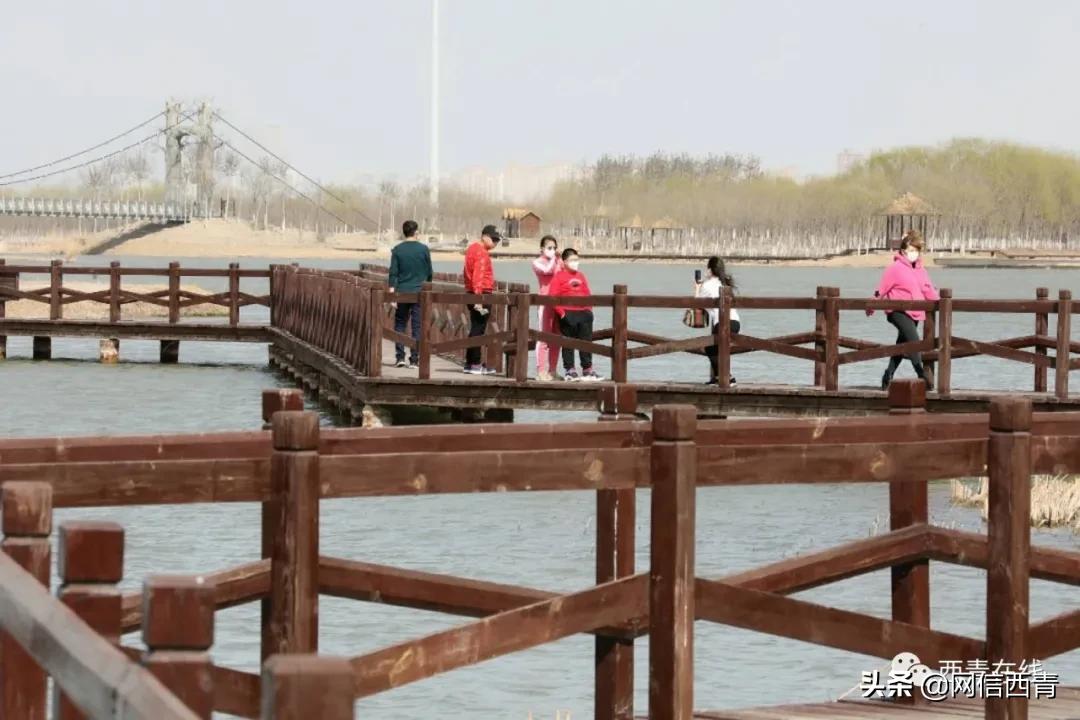 天津新开放的公园,天津水西公园现在恢复开放了吗