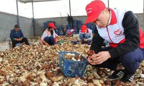 未来5年乡村创业趋势,走出独具特点回乡创业新路