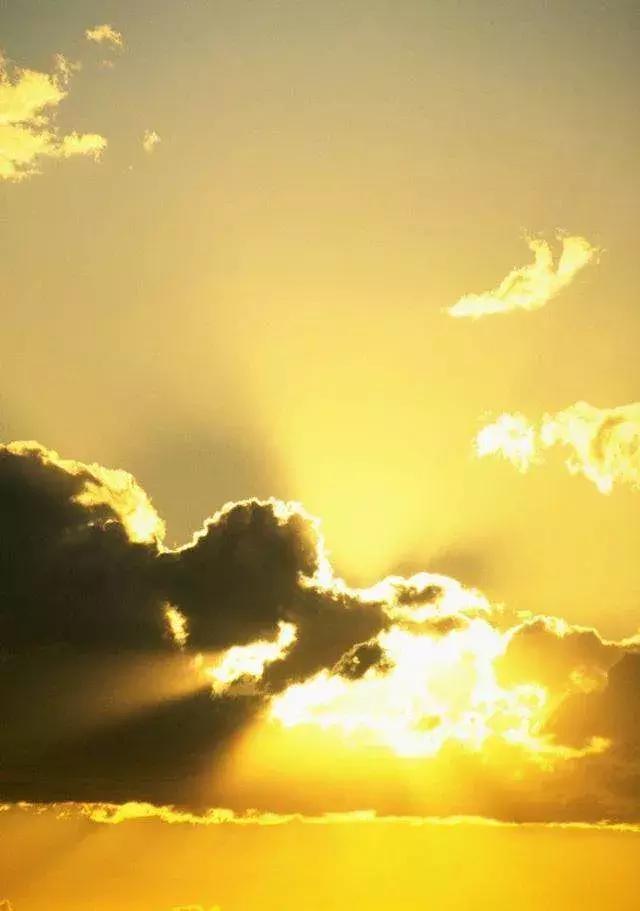 网贷逾期无力偿还会不会上征信,网贷逾期无力偿还上征信怎么办