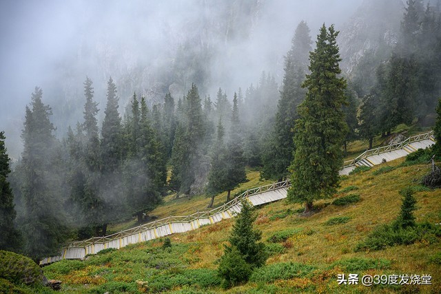 入手尼康z7半年的使用感受怎么样,尼康z7ii专业摄影师实际使用感受