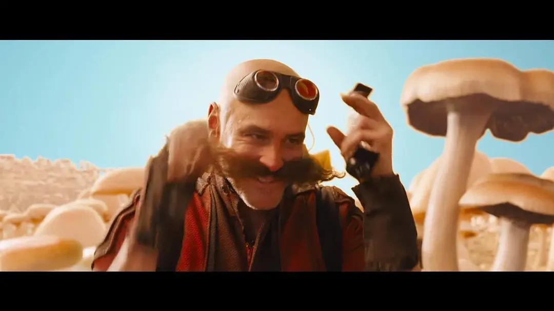 可爱刺猬索尼克,刺猬索尼克本来样子