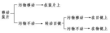 岳阳二模预测,岳阳二模数学题
