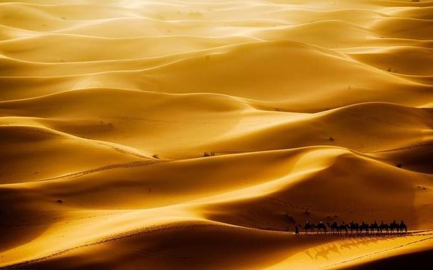 朝花夕拾提到二十四孝图中的故事,朝花夕拾讲述了什么时期的故事