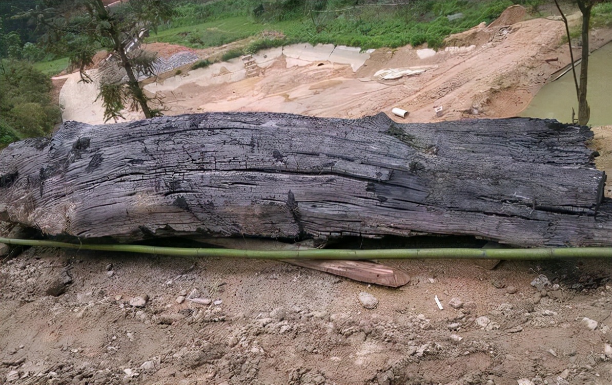 常见木材的种类简介及图片,常见木材的种类档次