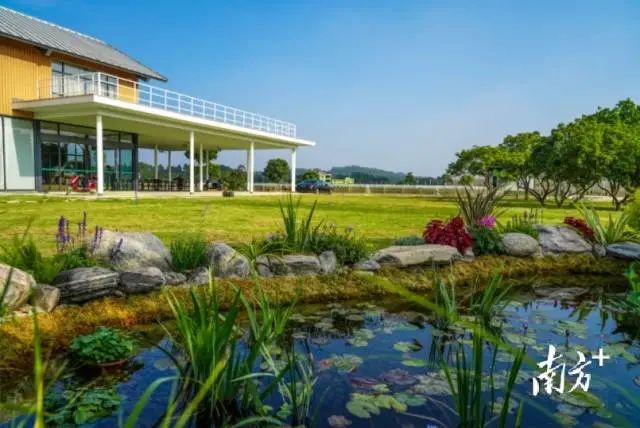 花都增城南沙从化哪个发展好,增城从化花都南沙哪里买房好