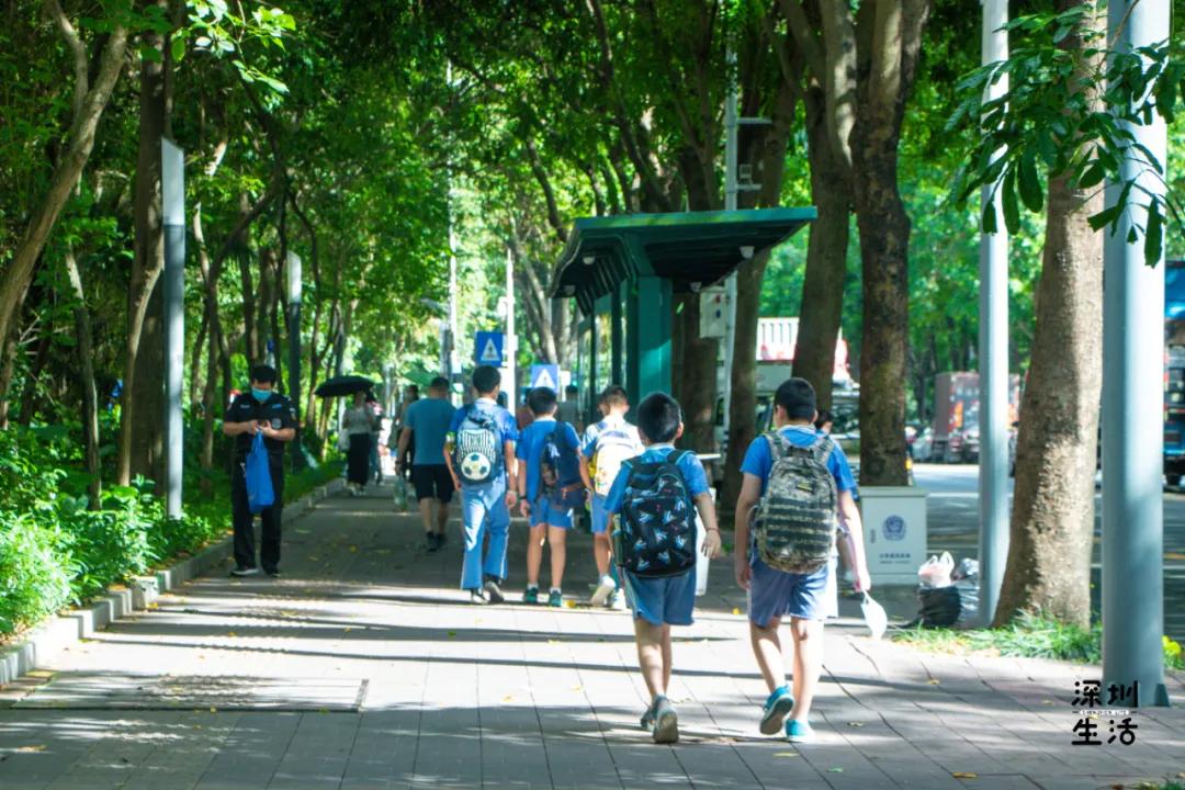 西丽富人区是真的吗,西丽富人区住宅