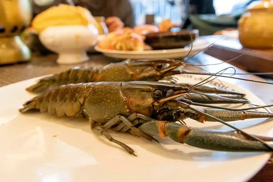 全上海性价比超高的七家海鲜自助,揭秘上海海鲜自助