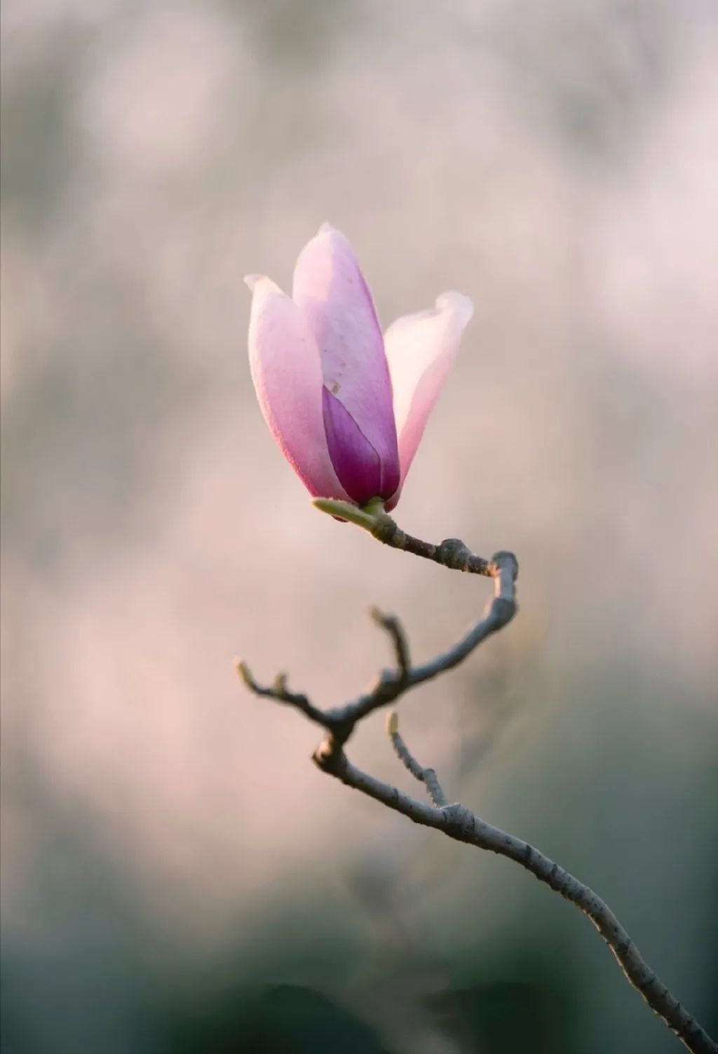 何不归去做个闲人,闲来无事做个闲人