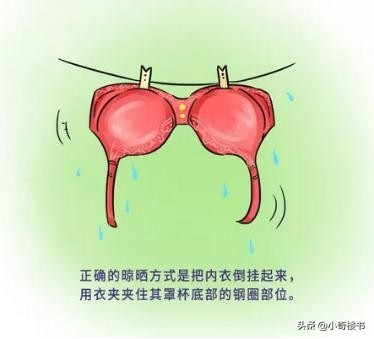 内衣裤有异味如何洗好一点,内衣裤尿渍发黄如何去除