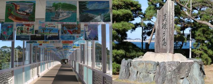 日本正宗珍珠,去日本哪里买akoya珍珠项链