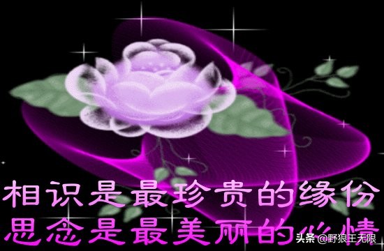 一颗心一份情一句话,一段情始于心动一份爱止于心冷