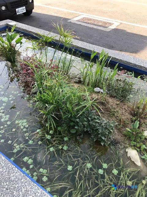 鱼池如何改导致花池,花池改鱼池如何做过滤