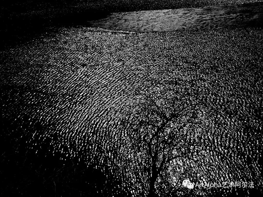 贾廷峰作品,贾廷峰水墨作品