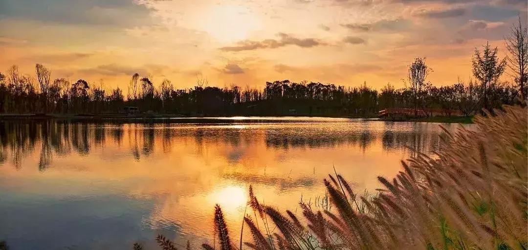 成都各个区旅游排名第一,成都市旅游景点排名最新前十