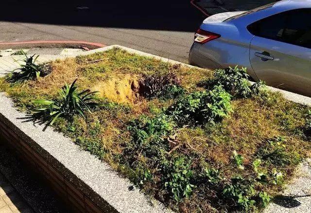 鱼池如何改导致花池,花池改鱼池如何做过滤