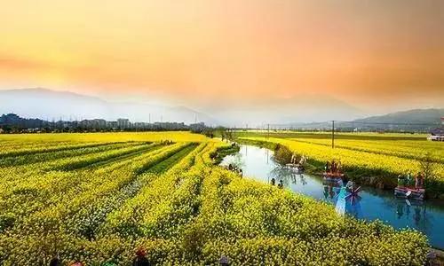 共享农业新规定,共享农业的六大模式