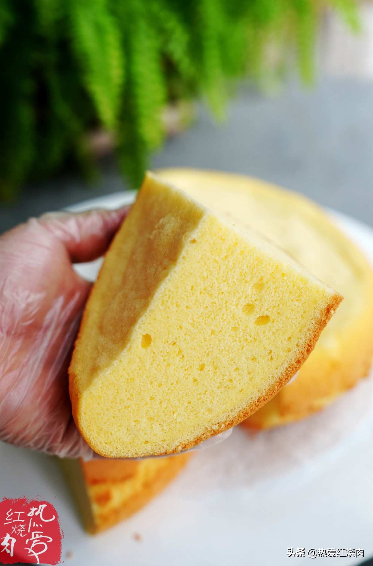 电饭煲做蛋糕一次就成功的诀窍,今天教你如何正确制作电饭锅蛋糕