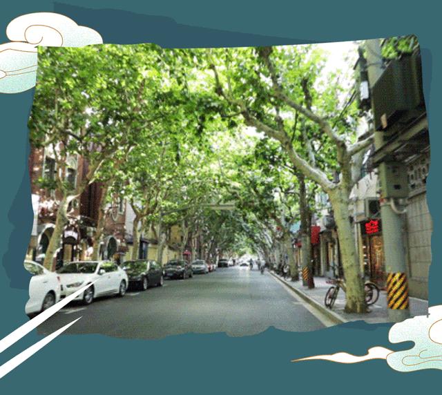 上海一日游古镇最佳路线免费景点,上海晚上十大必去免费景点