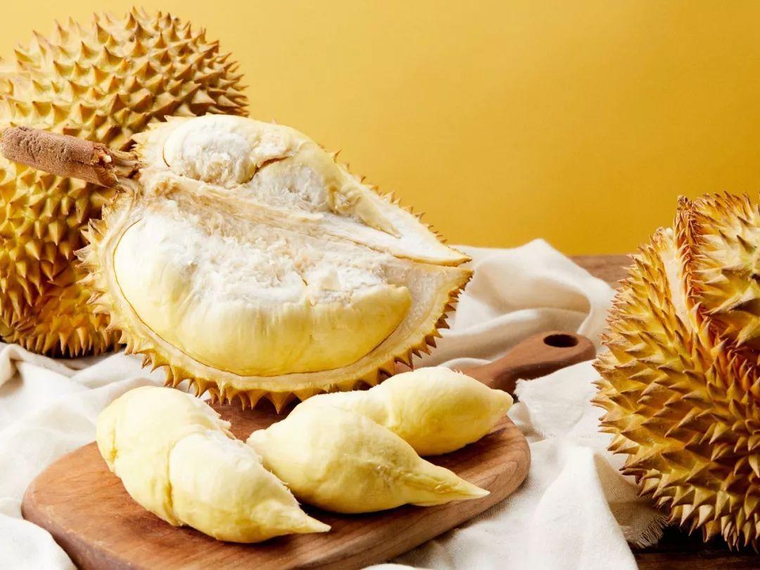 吃屎都觉得可爱的那些人