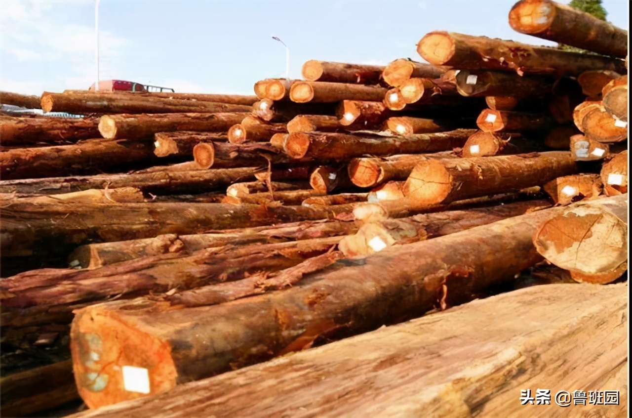 用溴甲烷熏蒸地多长时间效果最佳,溴甲烷熏蒸什么时候取消