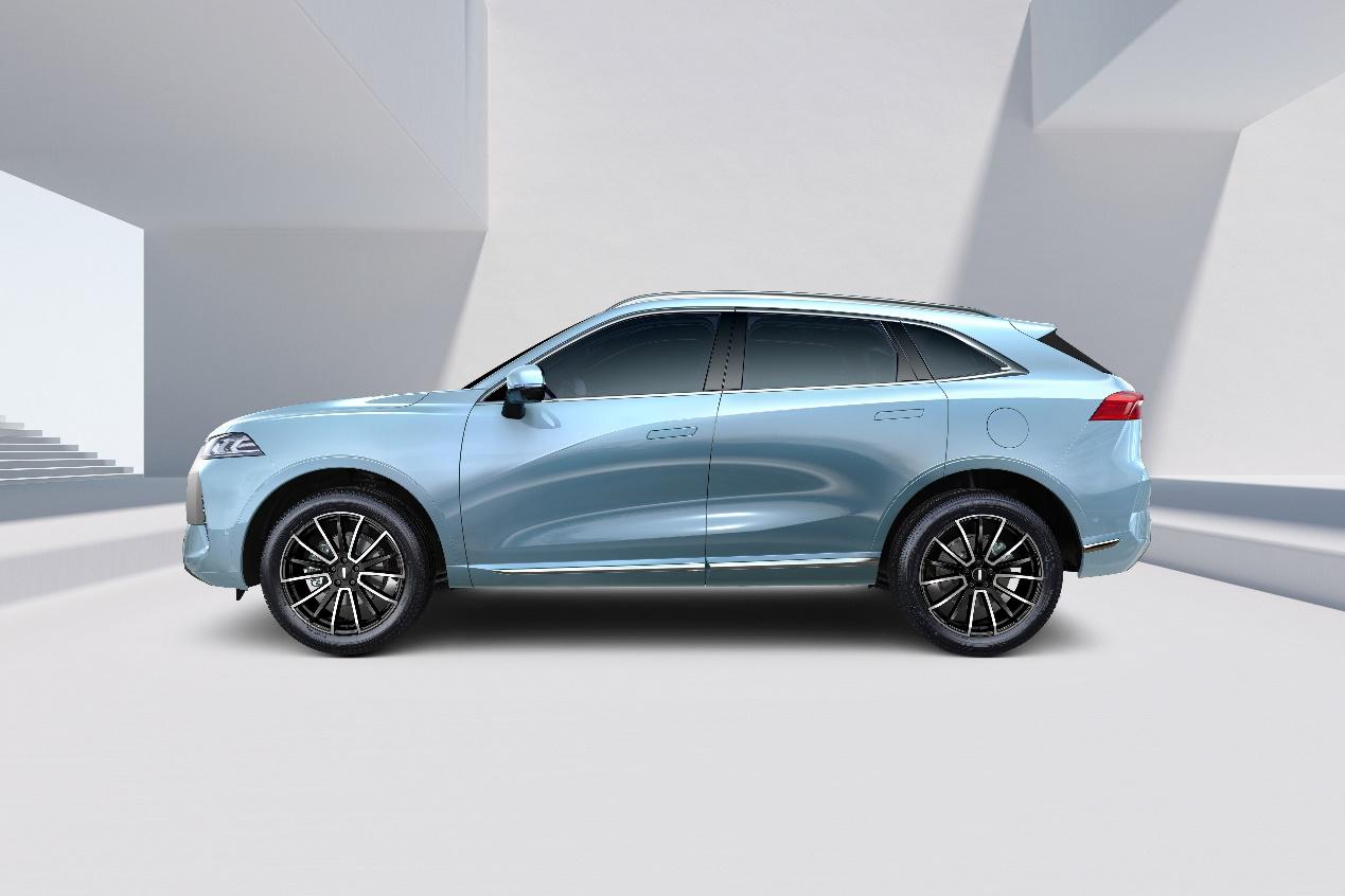 你没尝过的吃货必备零食有哪些,wey新旗舰suv摩卡发布